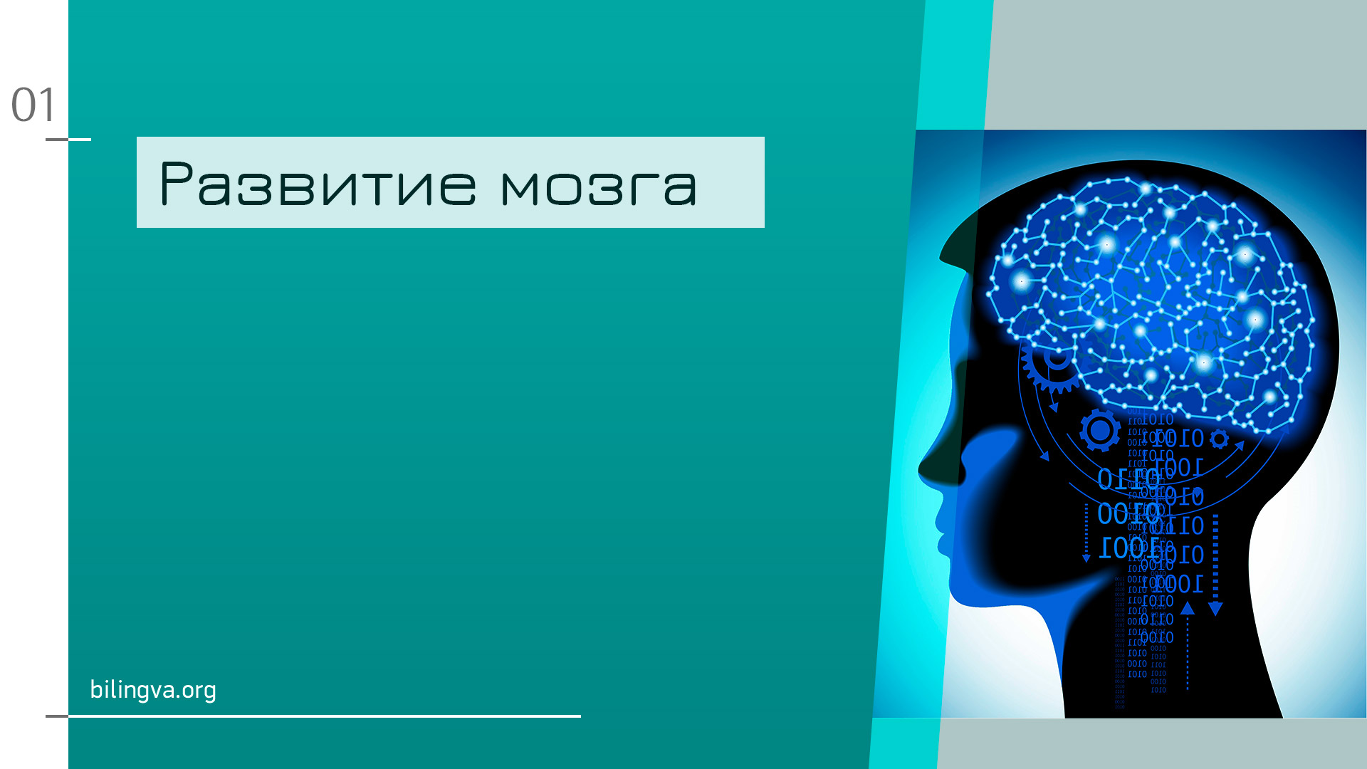 Иностранный язык в детстве - польза или вред для развития ребенка?